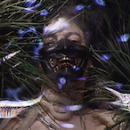 Zokm2k._.'s Avatar'