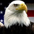 WintryEagle6's Avatar'