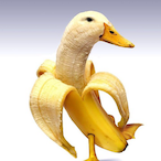 RelixBTW's Avatar'