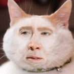 Le_Chinner's Avatar'