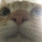 CyanRush's Avatar'