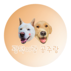 Oh_Sorry_Bro's Avatar'