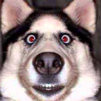 EricBlue11's Avatar'