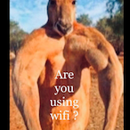 Sum Dude DA's Avatar'