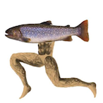 CONFlG NGA's Avatar'