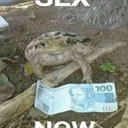 l2673598623598