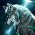 sham_buachaill's Avatar'