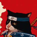 ShinobiR666S's Avatar'