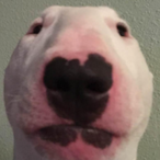 BOT_Barslund's Avatar'