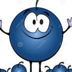 BlueBerry657's Avatar'