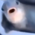 Fryxxik_'s Avatar'