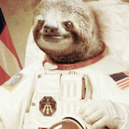 BitKonnekt's Avatar'