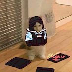 poiesisss's Avatar'