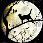 BlackcatMOON's Avatar'