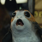 KOMEHONORFACE's Avatar'