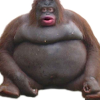 PiKazz.'s Avatar'