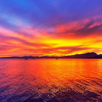 swungbyCOLDZ's Avatar'