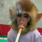 SONS.eredini's Avatar'