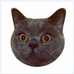 rejoota PS's Avatar'