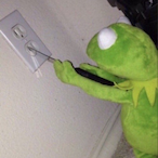 KakkaHemuli's Avatar'