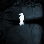 gurlurr's Avatar'