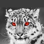 AP_Fable's Avatar'
