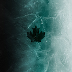 Finnybrev's Avatar'