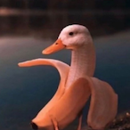 xDetonationBRx's Avatar'