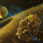 PreynMantiz's Avatar'