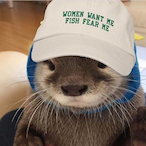 thebestotter's Avatar'