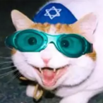 kenner.pecking's Avatar'