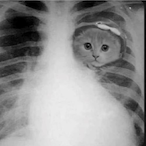 FromMaDaddy's Avatar'