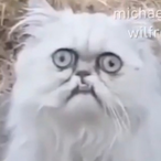 TheBestMint's Avatar'