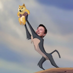 Doge.king_'s Avatar'