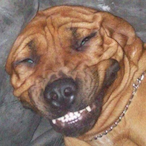 Sir.CumsaIot's Avatar'