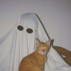 spooksuo's Avatar'
