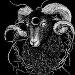 Selfency's Avatar'