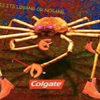 CRAB.gif's Avatar'