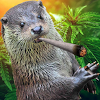 Mr.Buffotter's Avatar'