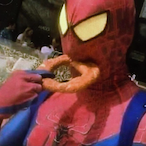 mrbosscole's Avatar'
