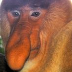 VANCBBY's Avatar'