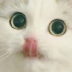 cpthowdy_'s Avatar'