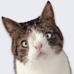 SpryGunner's Avatar'