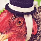 AClassyChicken's Avatar'