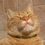 trustihnGod's Avatar'