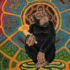 Tepsi.HcM's Avatar'