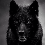 YouYou91_G2's Avatar'