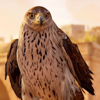 Senu_na_arte's Avatar'