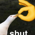 not___edward's Avatar'