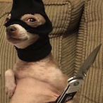 PAANTELISMali's Avatar'